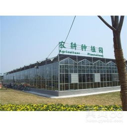 陽泉四季恒溫?cái)z影基地玻璃溫室大棚工程中的計(jì)算機(jī)軟件設(shè)計(jì)